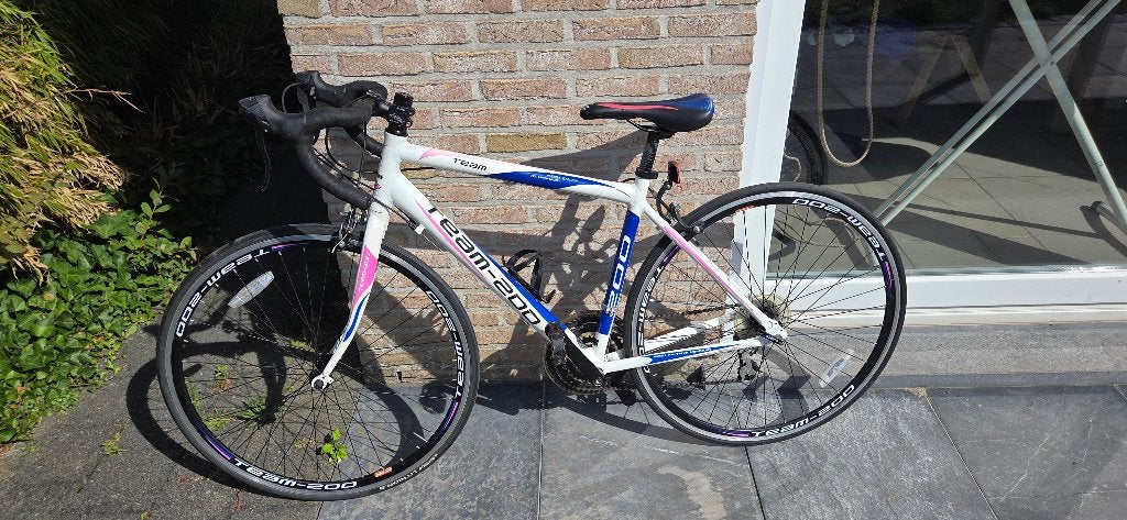 Kinderkoers fiets meisjes, Fietsen en Brommers, Gebruikt, Velgrem, Versnellingen, Team 200