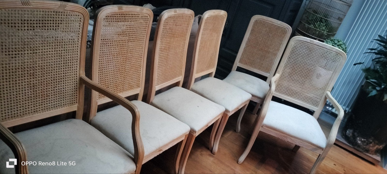 chaises en bois de style ancien (très solides et confortable, Enlèvement ou Envoi