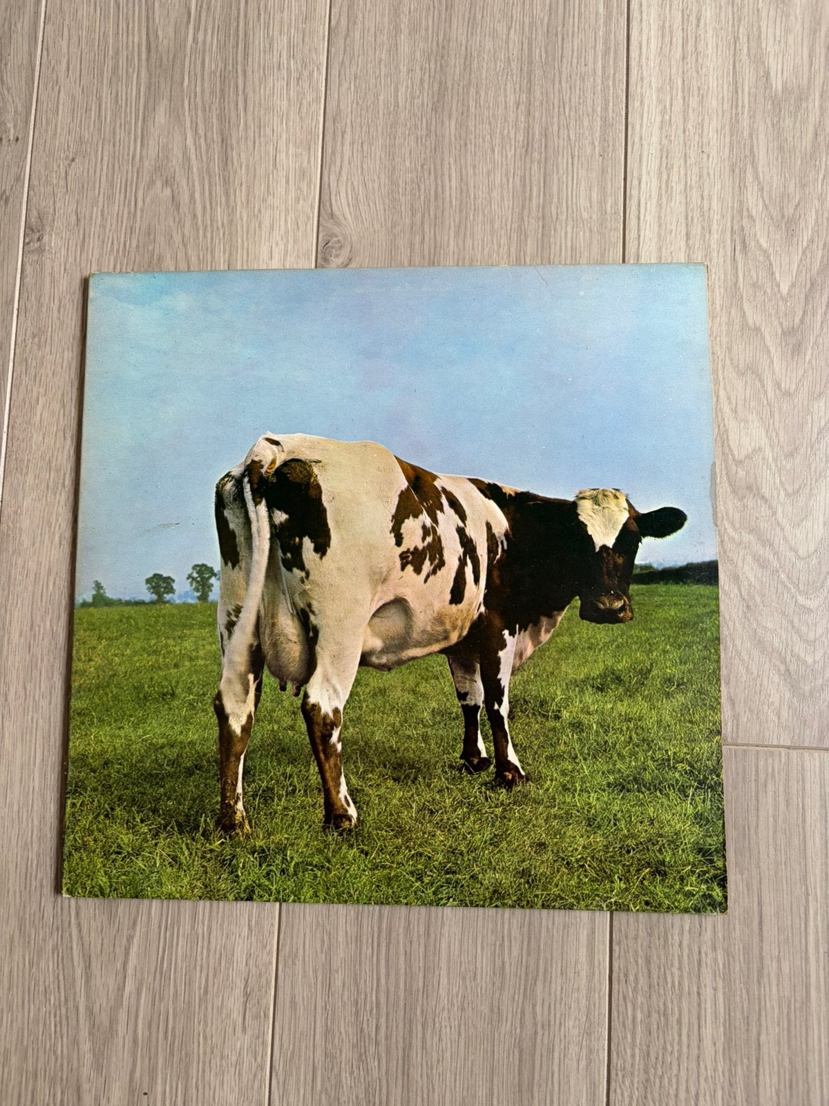 Pink Floyd Atom Heart Mother late 70’s pressing, Ophalen, LP, Gebruikt, Gatefold hoes