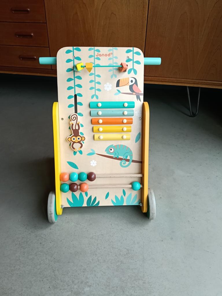 Loopwagentje Janod, Ophalen, Zo goed als nieuw, Duw- of Trekspeelgoed