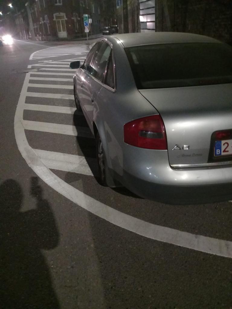 Audi A6 Tdi19, Cuir, Achat, Boîte manuelle, Autres couleurs