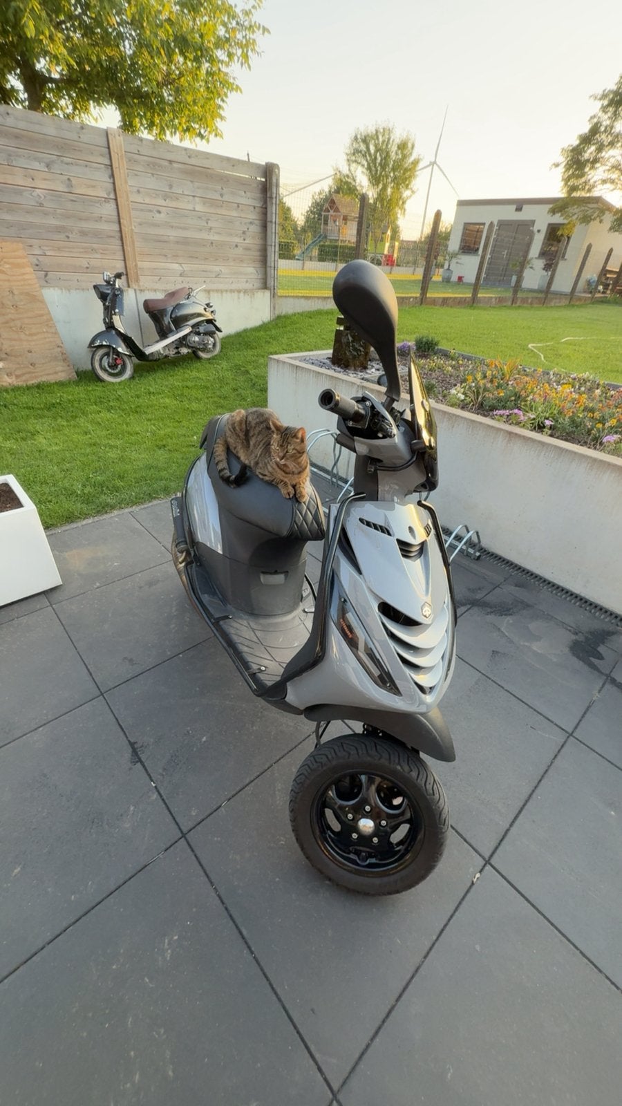 Piaggio zip 2takt 70cc ruilen, Ophalen, Tweetakt, 70 cc, Zip