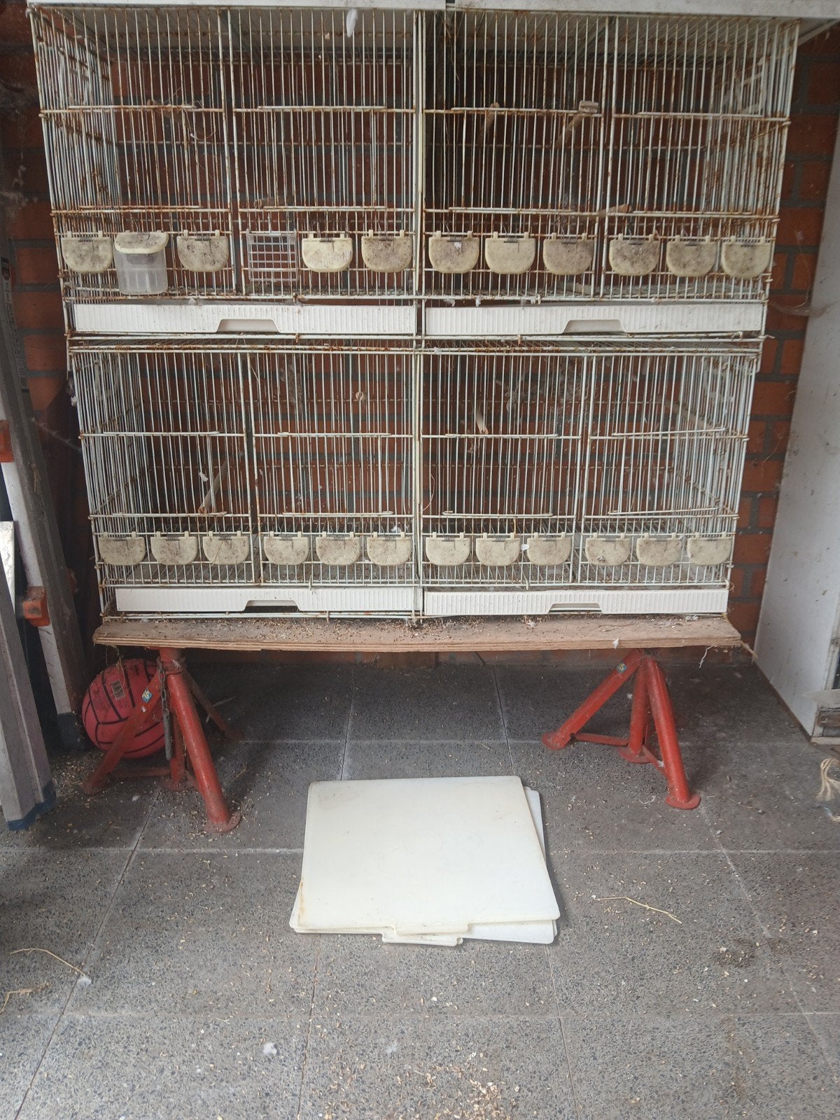 Cages d'élevage en fil métallique, Animaux & Accessoires, Enlèvement