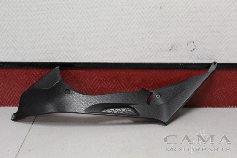 BUDDYPANEEL LINKS BMW S 1000 RR 2010-2011 (S1000RR 10), Dhr. S. di Majo, Gebruikt, Info@cama-motorparts.nl, P.J. Troelstraweg 8 8
3144 CX  MAASSLUIS, NL