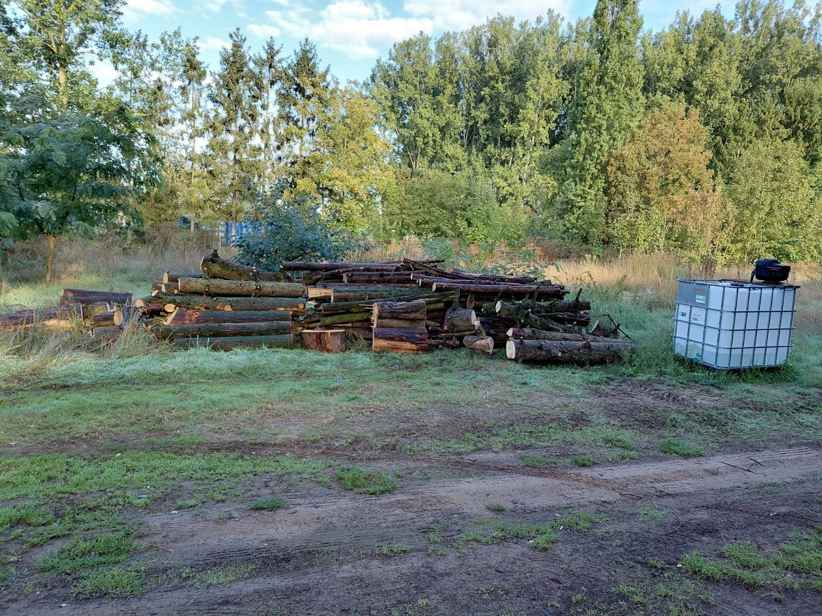 Brandhout spar, Tuin en Terras, Ophalen