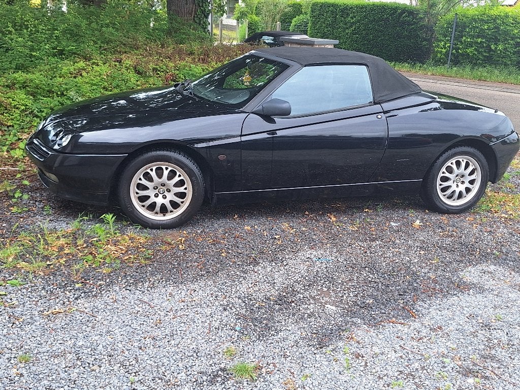 Alfa spider, Cuir, Achat, Boîte manuelle, Spider