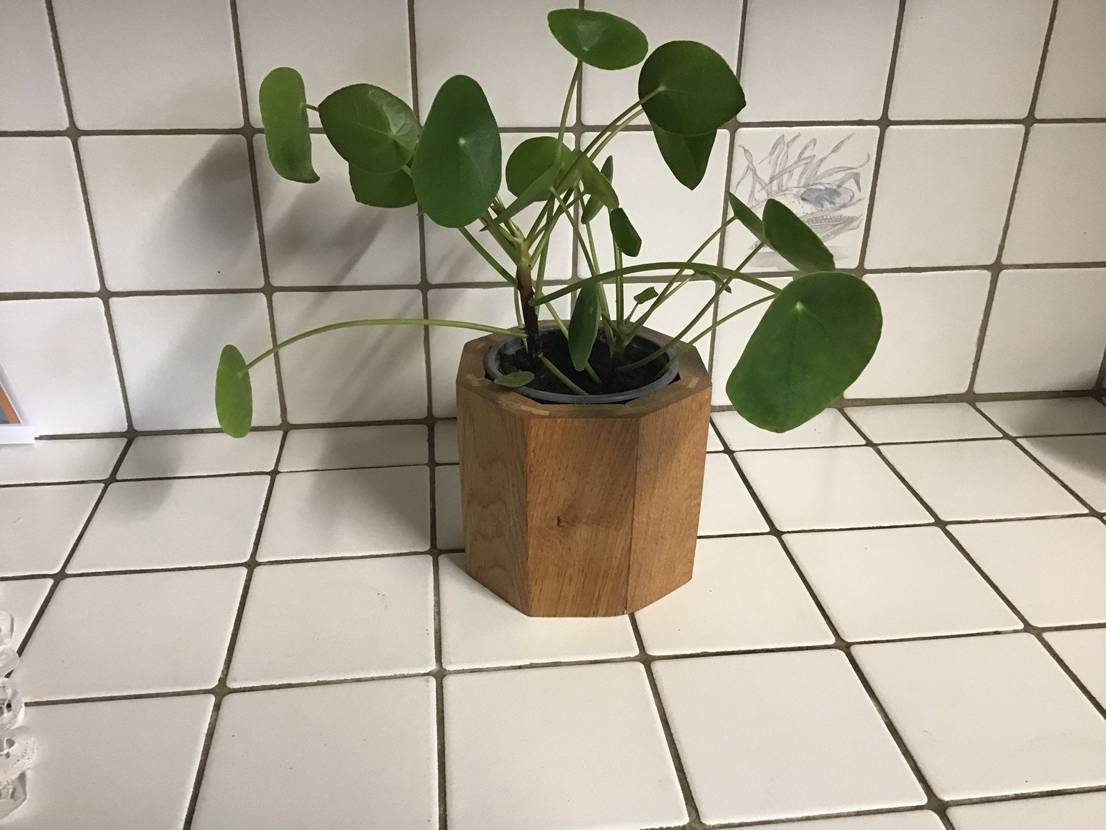 Pot à billets en bois, pot de fleurs en pot de cajou, Jardin & Terrasse, Enlèvement ou Envoi, Comme neuf