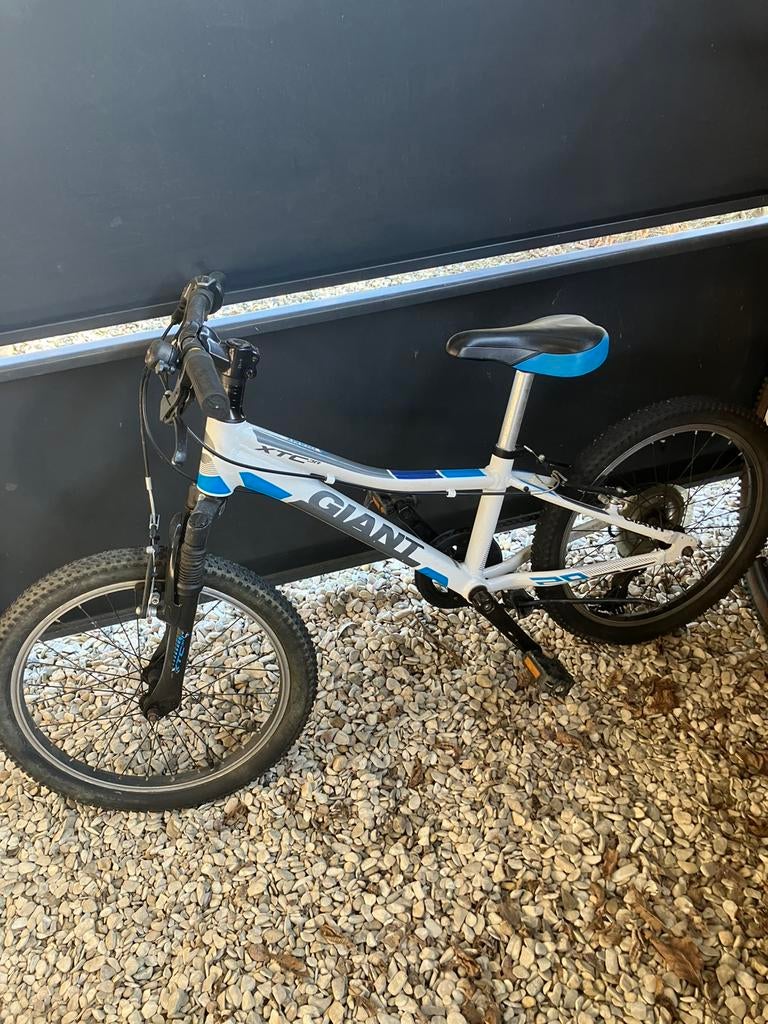 Giant mountainbike 20 inch, Ophalen, Zo goed als nieuw, 20 tot 24 inch