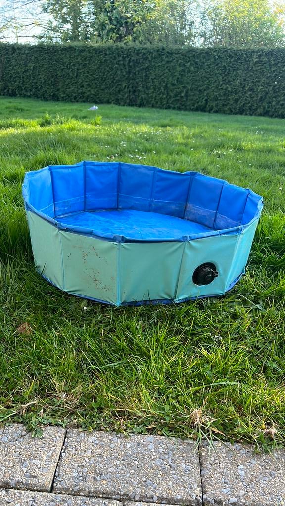Piscine pour chien, Enlèvement, Comme neuf