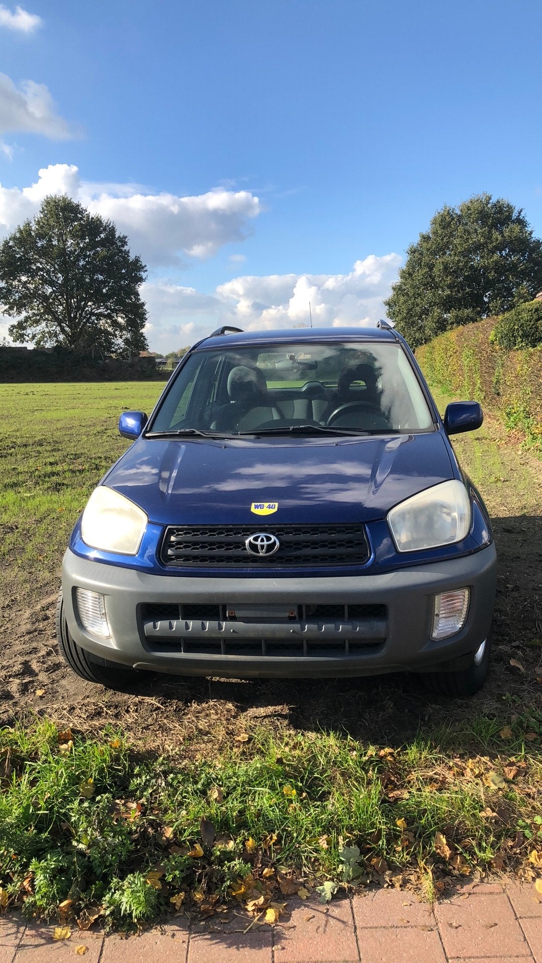 Toyota RAV 4, Auto's, Voorwielaandrijving, 4 zetels, Blauw, Handgeschakeld