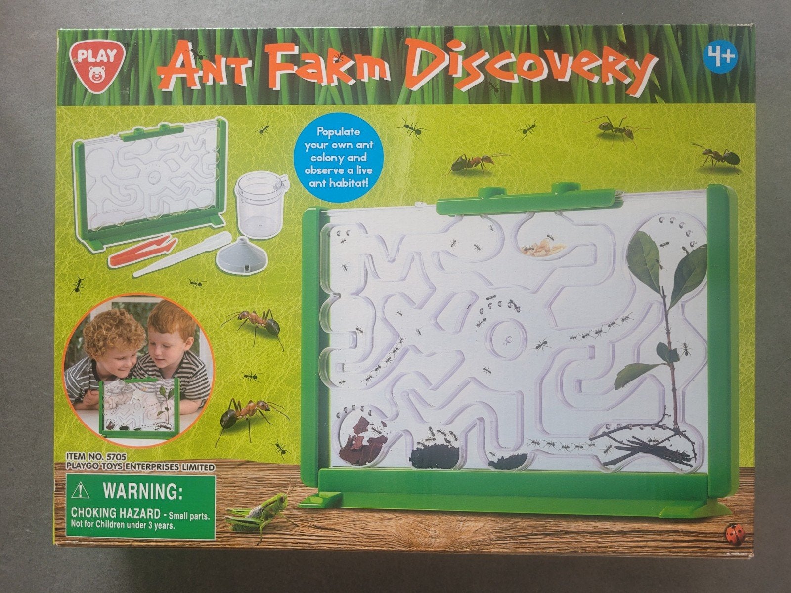 Mieren bestuderen, Dieren en Toebehoren, Reptielen en Amfibieën | Toebehoren, Ophalen, Nieuw