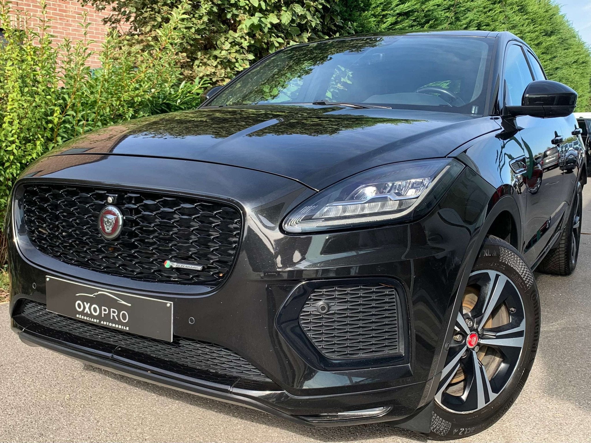 Jaguar E-Pace D165 AWD R-Dynamic MHEV / FACELIFT / NEW MODÈ, Cuir, Achat, Euro 6, Entreprise