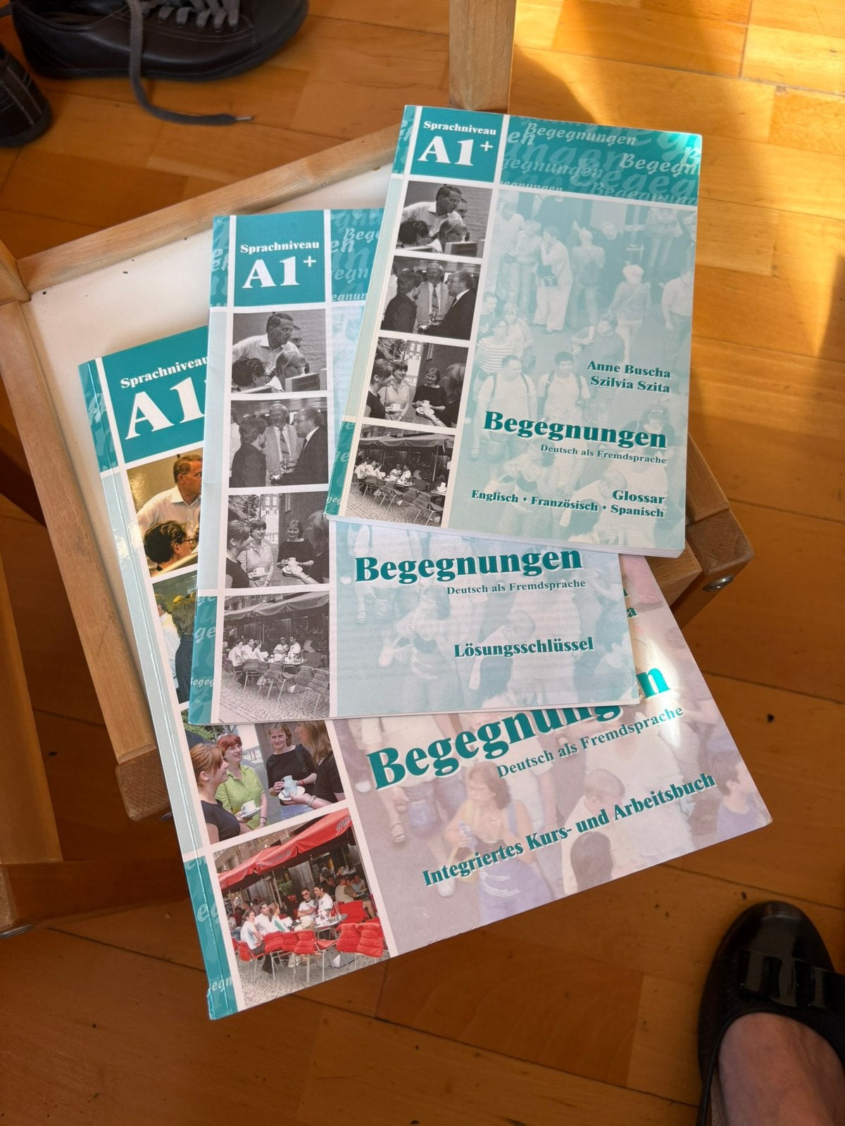Unused German Learning Books Set (Begegnungen A1+), Boeken, Ophalen