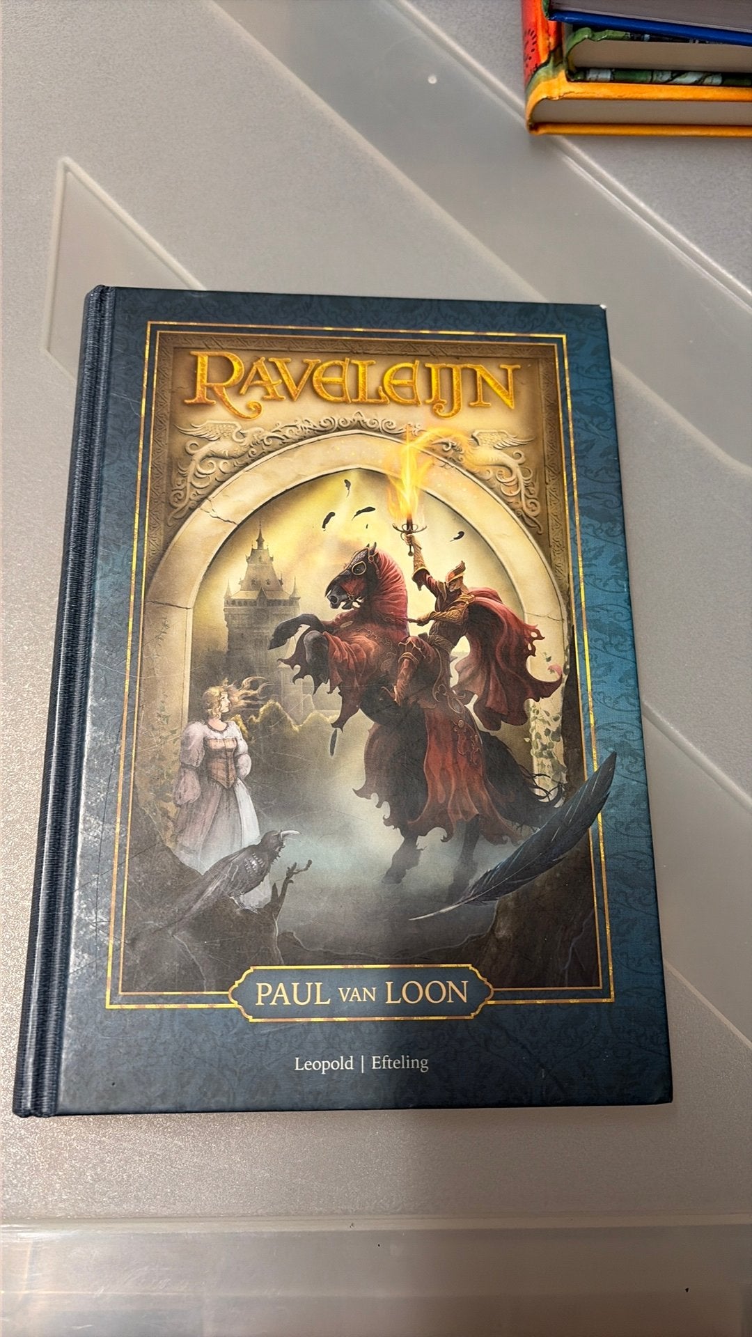 Boek Raveleijn, Verzamelen, Ophalen of Verzenden, Zo goed als nieuw