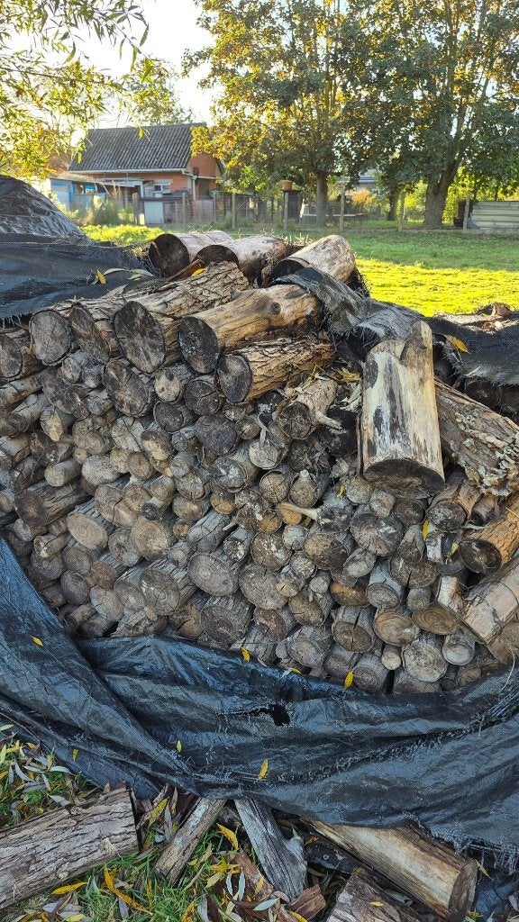 brandhout, 3 tot 6 m³, Ophalen, Overige houtsoorten, Blokken