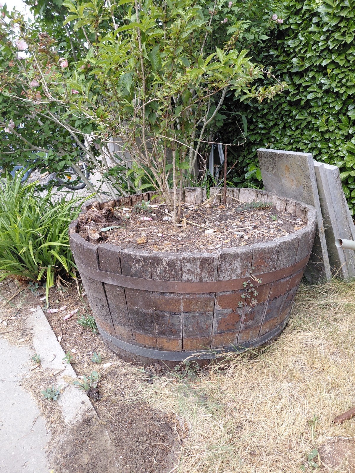 Bloemboek van wijnvat, Tuin en Terras, Ophalen