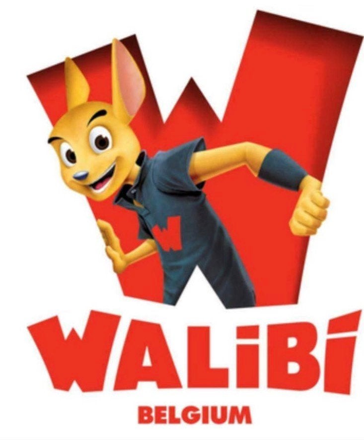 Walibi tickets 30 euro per ticket, Drie personen of meer, Ticket of Toegangskaart
