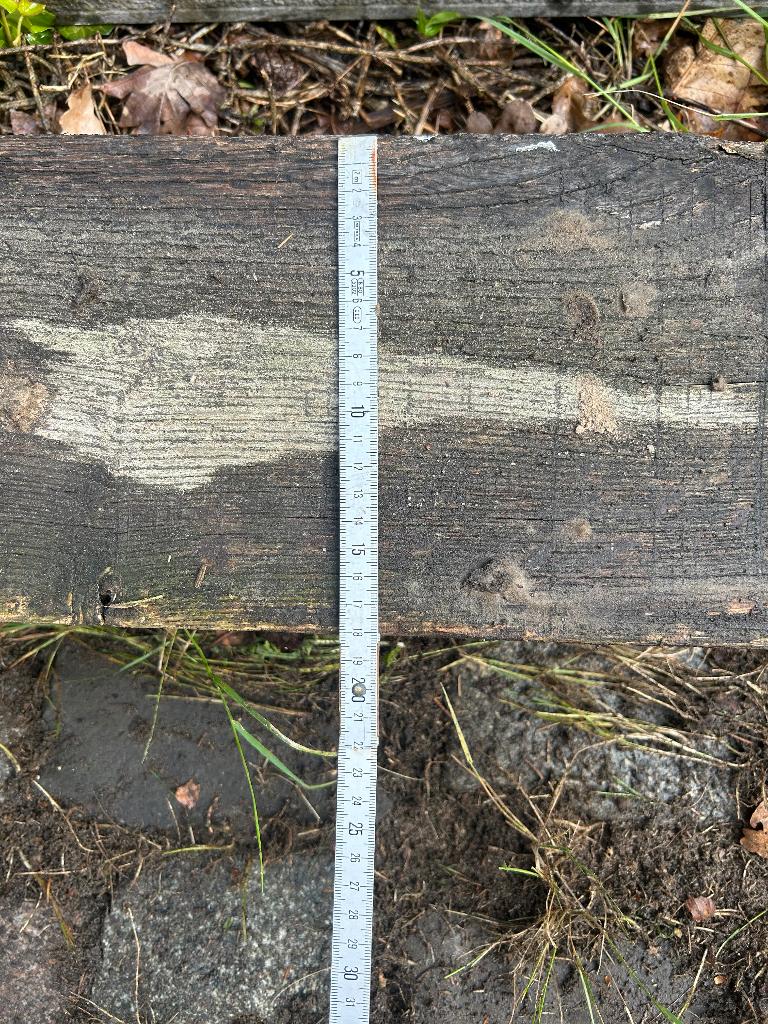 Houten balk, Doe-het-zelf en Bouw, Hout en Planken, Ophalen, Gebruikt, Eiken, 250 tot 300 cm