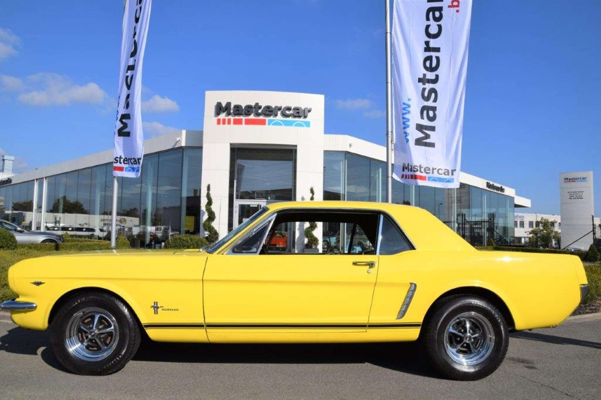 Ford Mustang MUSTANG COUPE V8 Manueel, foto 2