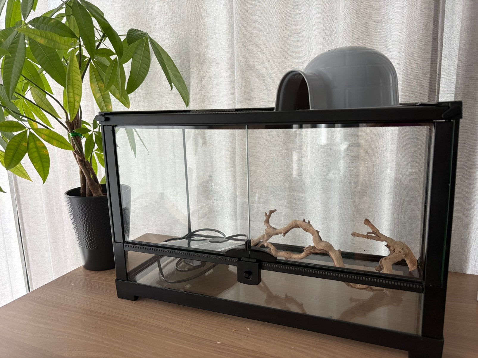Terrarium à vendre, Enlèvement, Comme neuf