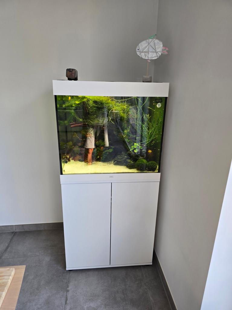 Bijou pour aquarium Lido 200, Animaux & Accessoires, Enlèvement, Pompe, Juwel