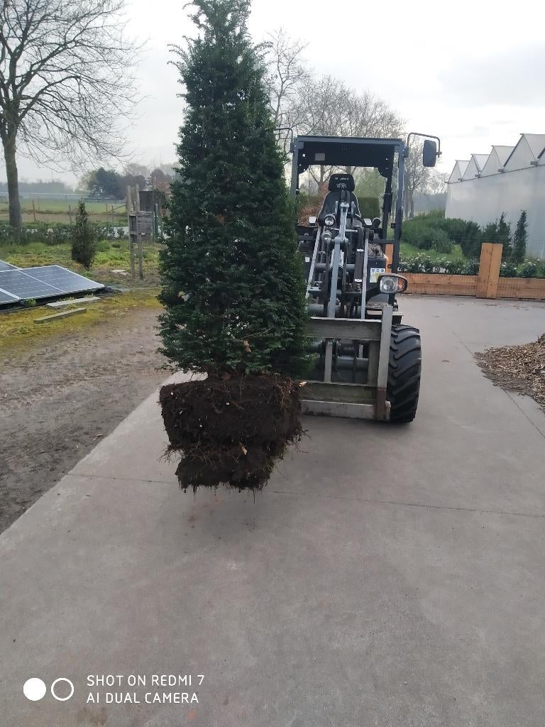 Zaaitray, Ophalen, Zo goed als nieuw, Kweekbak