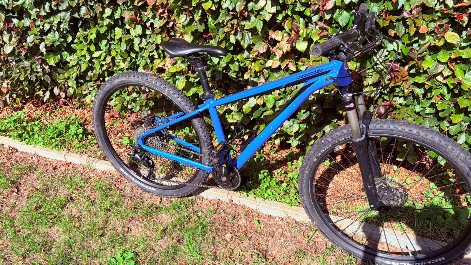 Cannondale Trail Five, Fietsen en Brommers, Fietsen | Mountainbikes en ATB, Ophalen, Gebruikt
