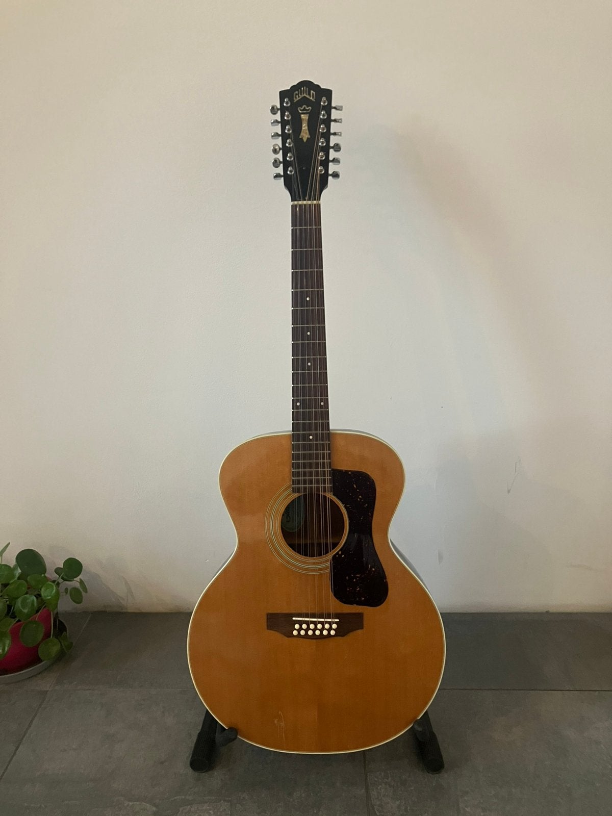 Guild 12string uit 1980 lh, Muziek en Instrumenten, Ophalen, Gebruikt, Western- of Steelstringgitaar, 12-snarig