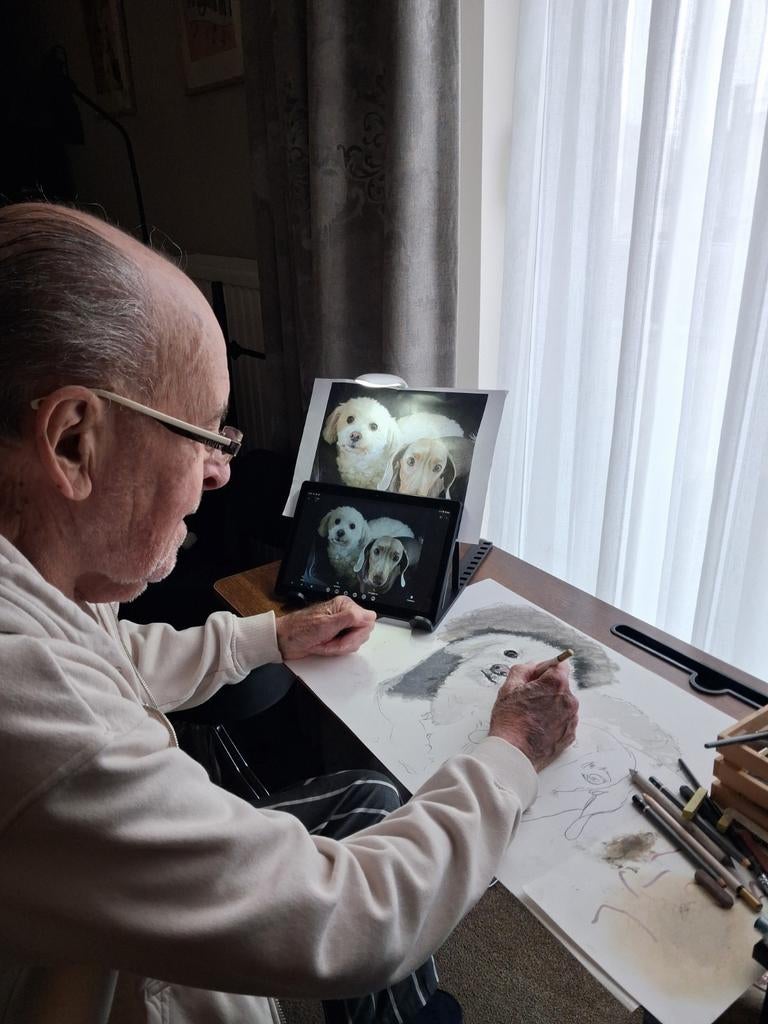 PORTRET TEKENINGEN, Dieren en Toebehoren, Honden-accessoires, Ophalen