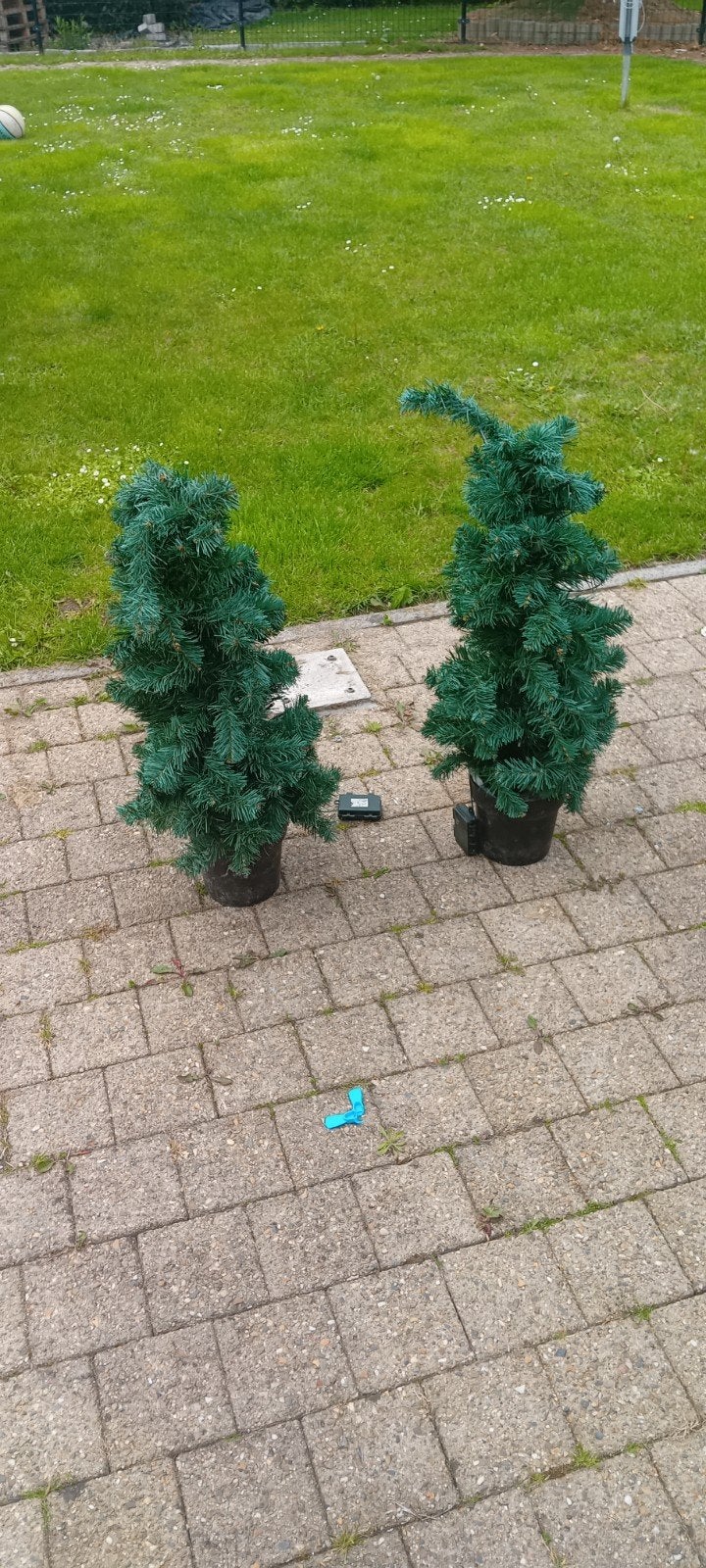 2 nep dennenboompjes  met lampjes, Ophalen