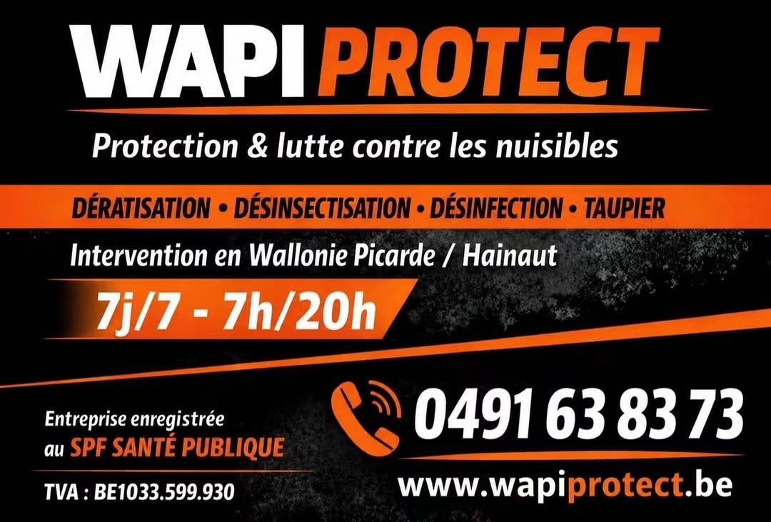 Élimination des cafards en Wallonie picarde
