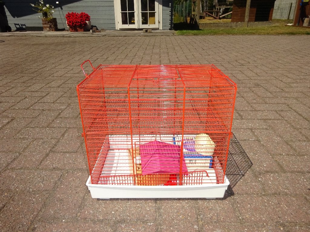 Cage pour hamsters, Animaux & Accessoires, Enlèvement, Utilisé, Cage, Cobaye