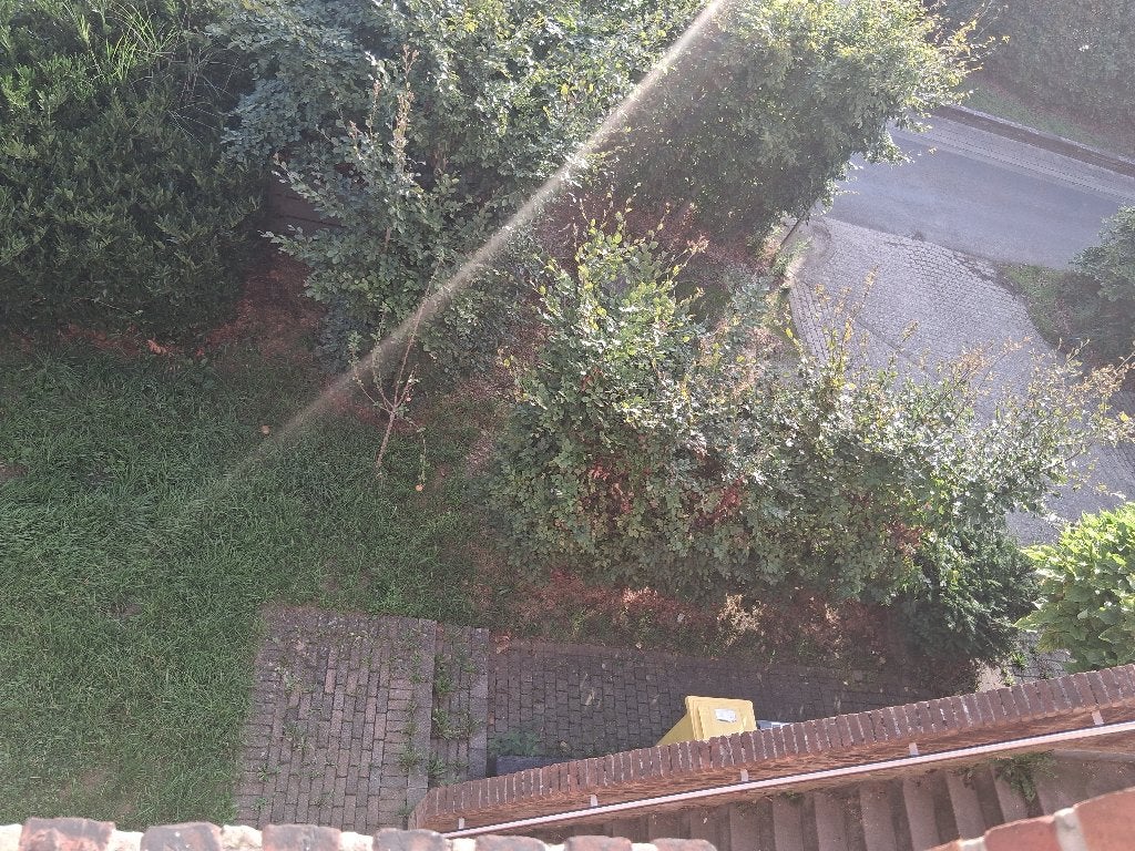 Wie wil er een haag uit doen, Tuin en Terras, Ophalen, Haag