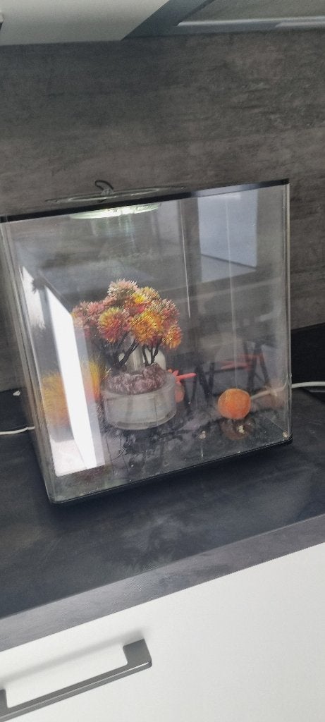 Aquarium, Dieren en Toebehoren, Ophalen, Gebruikt, Decoratie