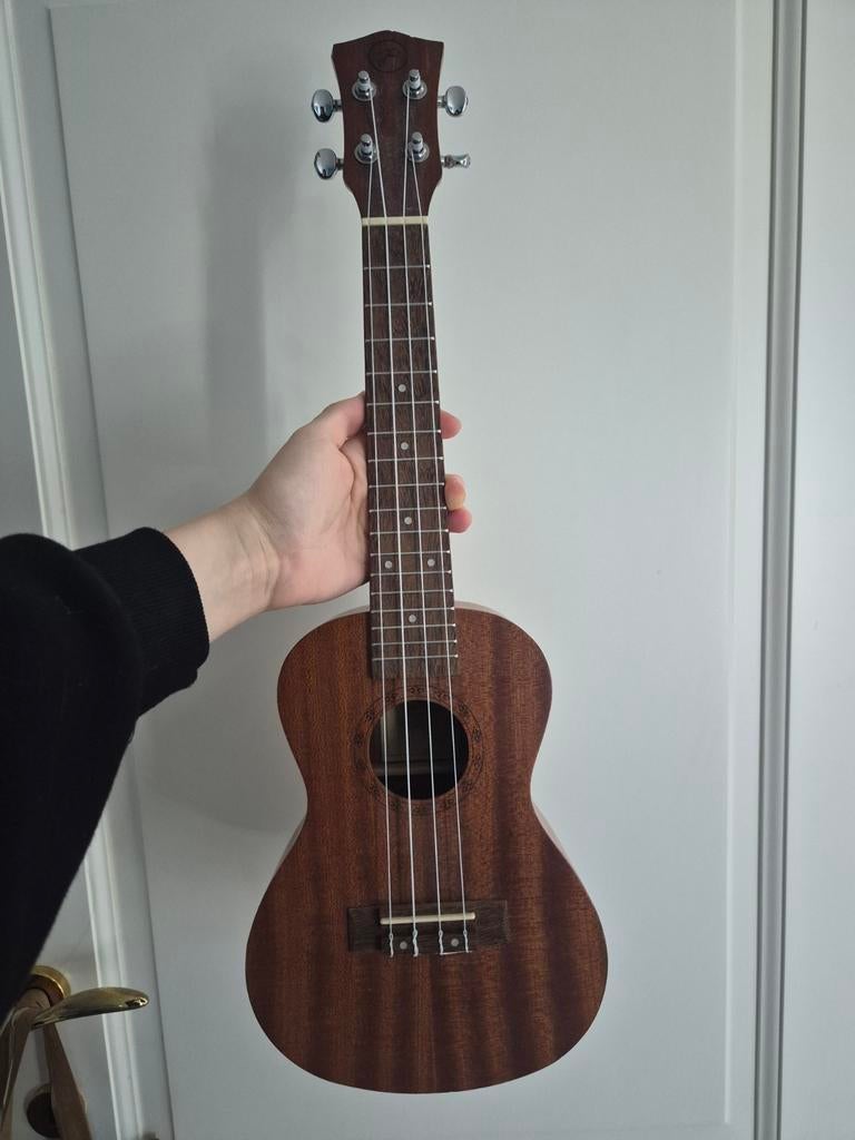 ukulele, Ophalen of Verzenden