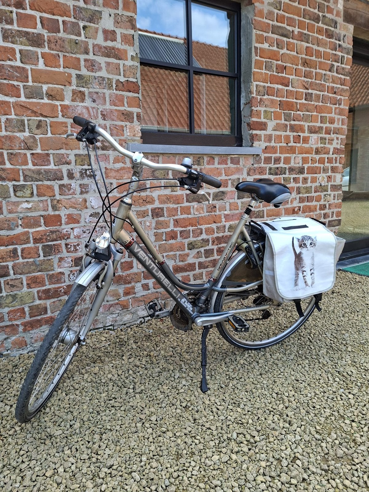 Damesfiets, 53 à 56 cm, Enlèvement, Utilisé, Autres marques
