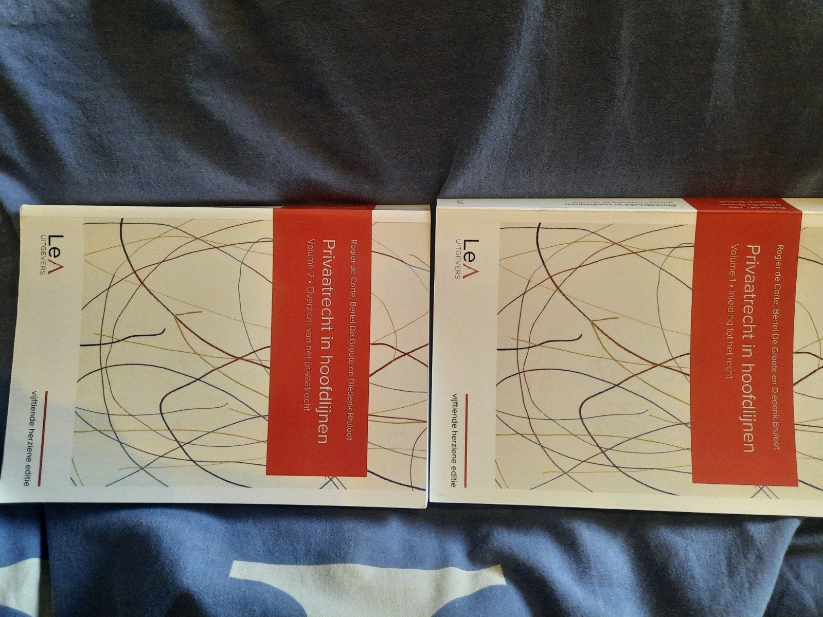 Privaatrecht in hoofdlijnen volume 1 en 2, Boeken, Ophalen of Verzenden, Zo goed als nieuw, Hoger Onderwijs