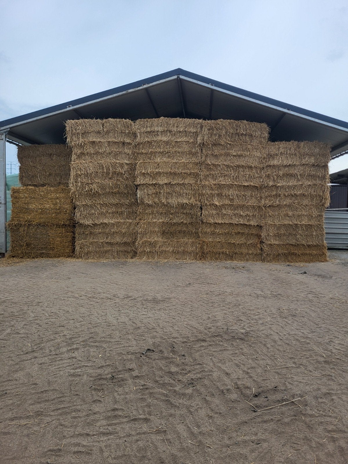 Tarwe stro, Dieren en Toebehoren, Ophalen