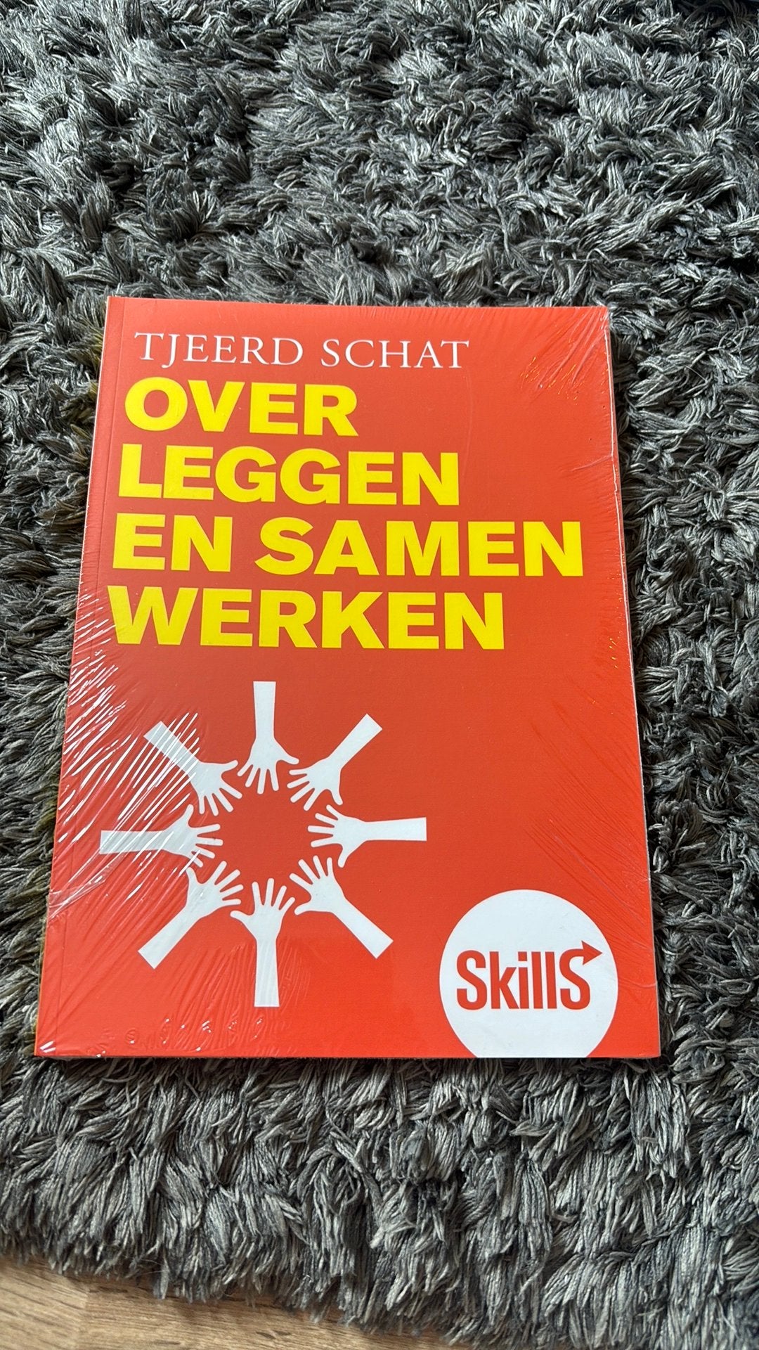Tjeerd Schat - Skills - Overleggen en samenwerken, Enlèvement ou Envoi, Neuf, Néerlandais, Tjeerd Schat
