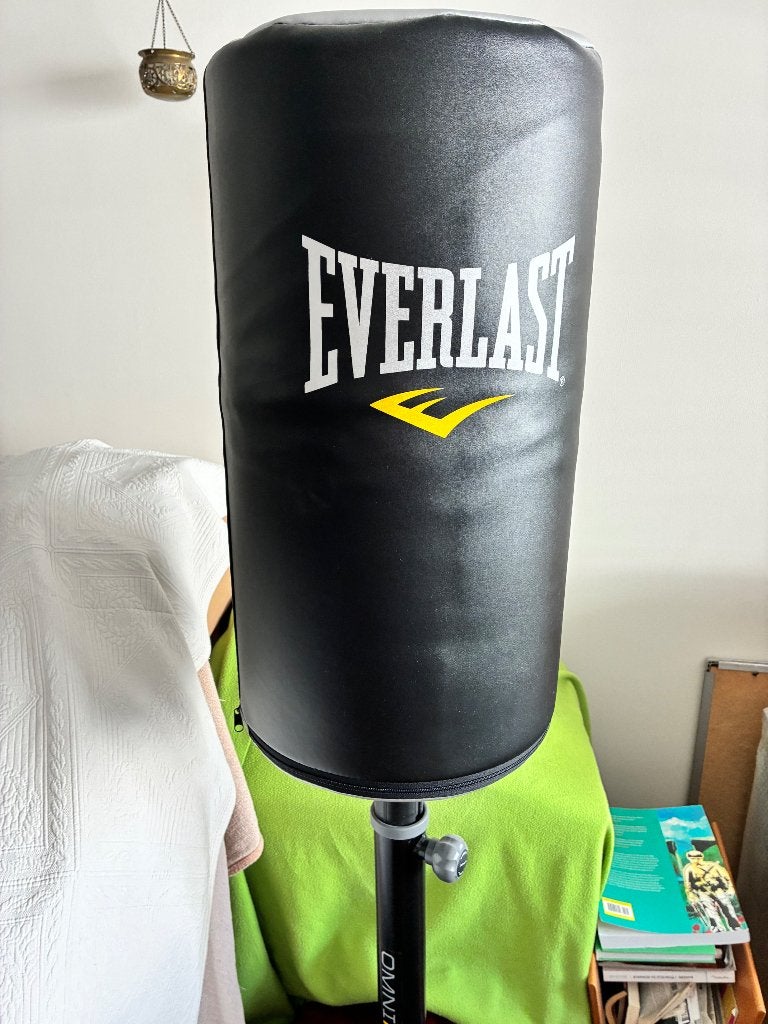 Bâton de boxe Everlast, Enlèvement, Utilisé, Punching-ball