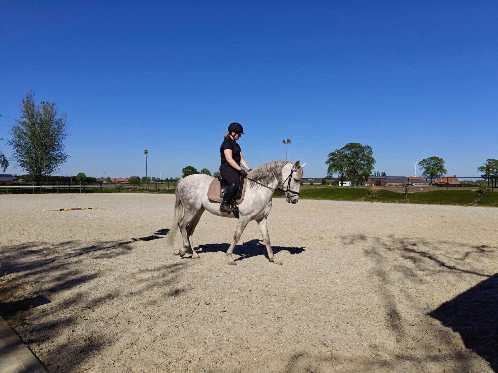 Jonge lieve P.R.E., Hongre