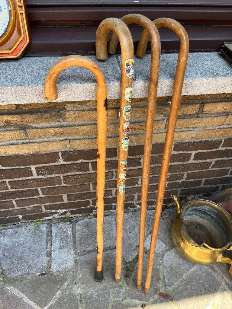 Wandelstokken, Divers, Bâtons de marche, Enlèvement, Utilisé