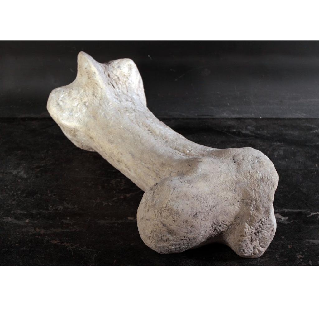 Dinosaur Bone – Dinosaurus beeld Lengte 118 cm, Ophalen, Nieuw