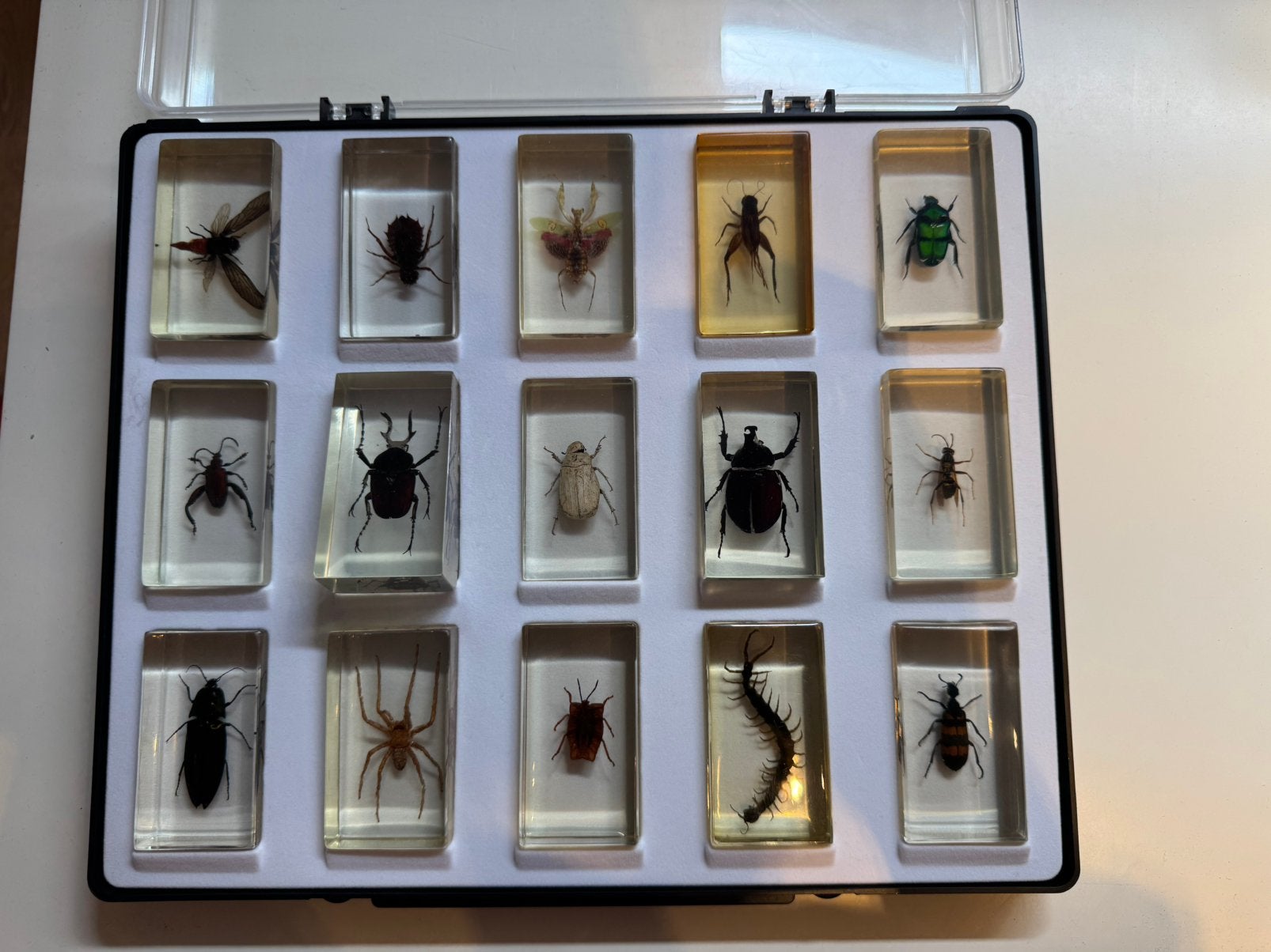 Insecten, Enlèvement, Utilisé