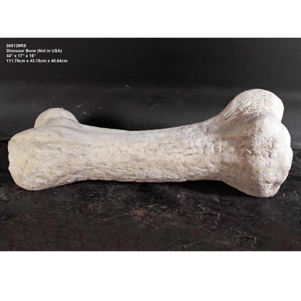 Dinosaur Bone – Dinosaurus beeld Lengte 118 cm, Ophalen, Nieuw