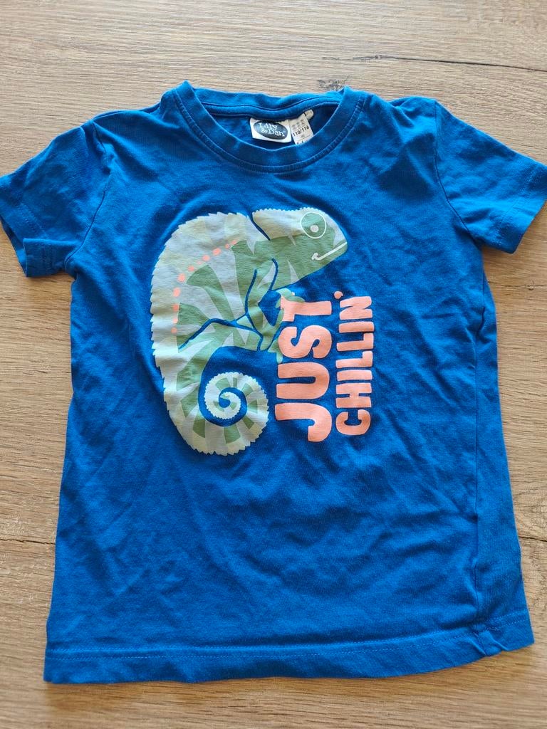 Tee-shirt 110-116, Kinderen en Baby's, Kinderkleding | Maat 110