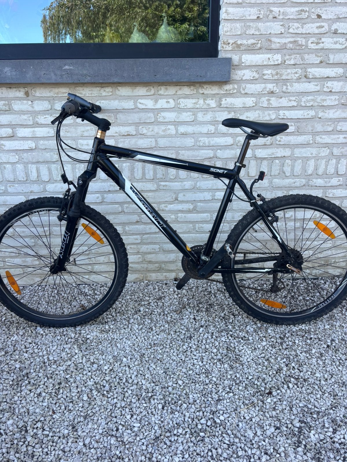 Mountainbike dames, Vélos & Vélomoteurs, Vélos | VTT & Mountainbikes, Autres marques, Frein sur jante, 45 à 49 cm, Femmes