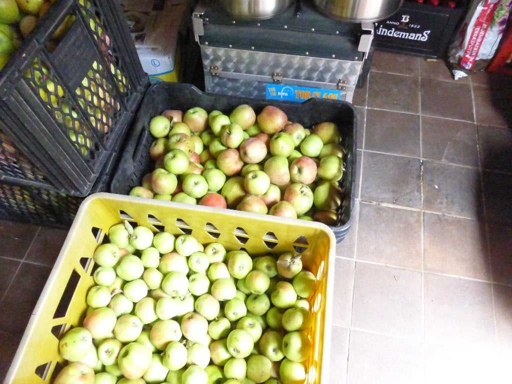 appelen hoogstam onbespoten, Enlèvement