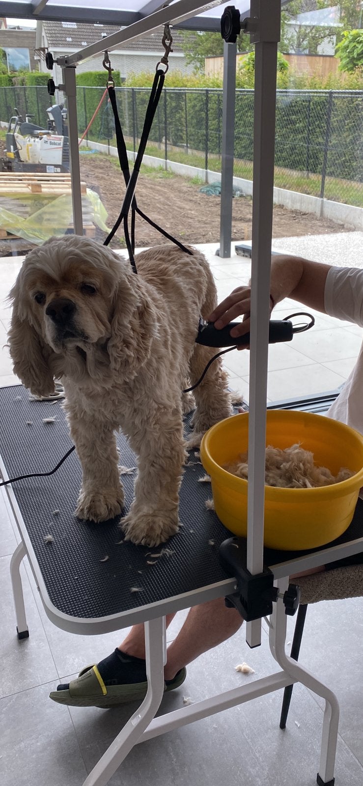 Pet grooming table, Dieren en Toebehoren, Ophalen, Gebruikt