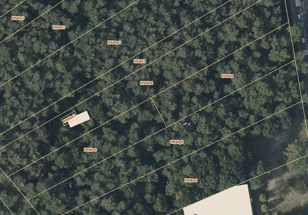Bos gelegen op hoofdweg met twee ingangen, Immo, Gronden en Bouwgronden